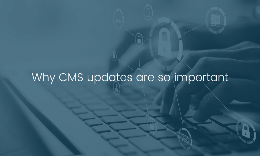 Why CMS updates are so important